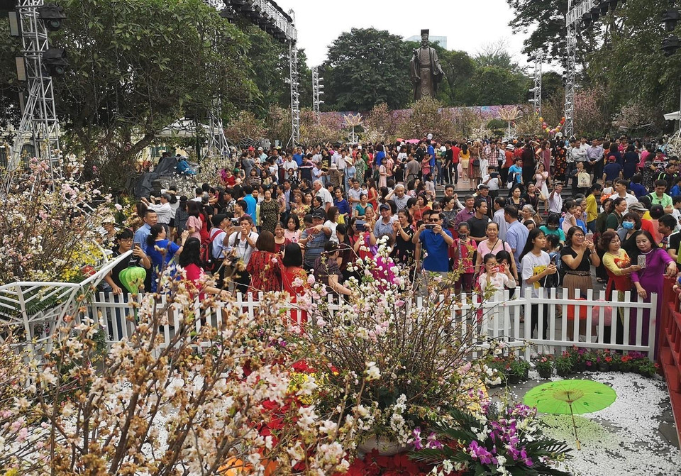 Người dân và du khách tham quan, thưởng lãm hoa anh đào tại không gian lễ hội. (Ảnh: Thanh Tùng/TTXVN)