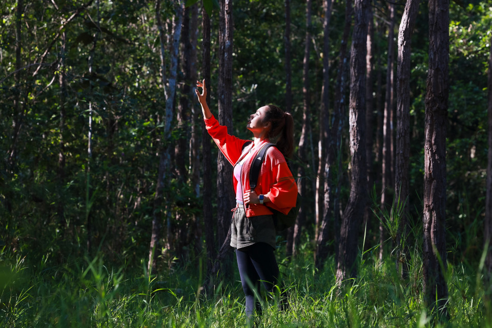 Vườn Quốc gia Lò Gò - Xa Mát là nơi bảo tồn nhiều cây gỗ, cây thuốc, chim, thú và các loài cá quý hiếm. (Ảnh: CTV/Vietnam+)