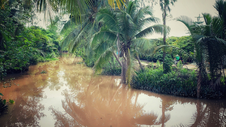 Con đường thơ mộng dẫn vào khu di tích Giàn Gừa. (Ảnh: Xuân Mai/Vietnam+)
