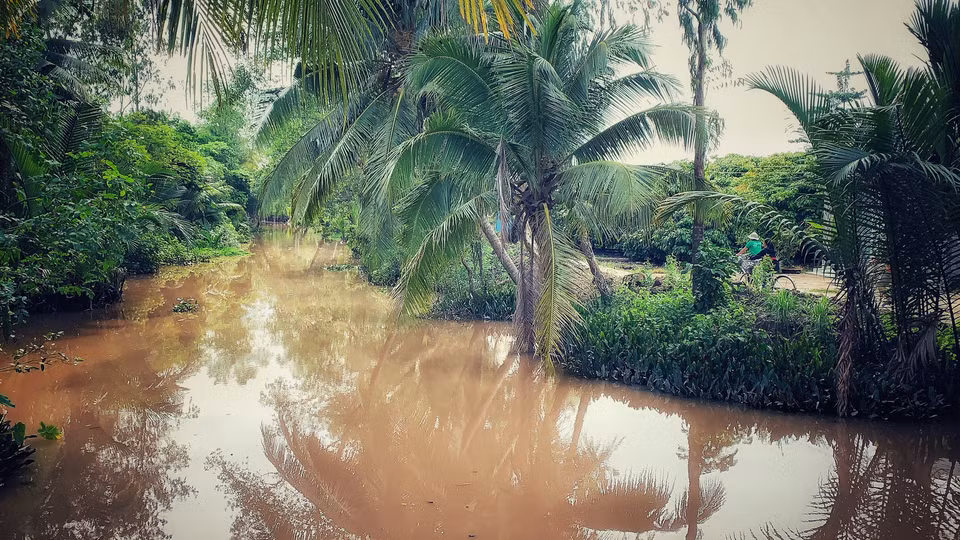 Con đường thơ mộng dẫn vào khu di tích Giàn Gừa. (Ảnh: Xuân Mai/Vietnam+)