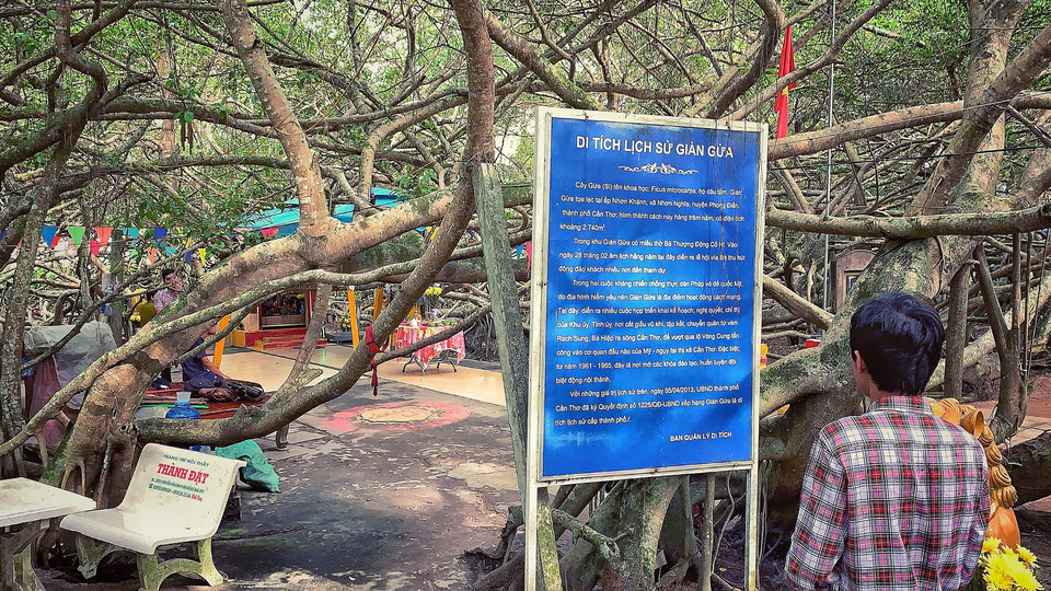 Du khách đến đây nếu không có hướng dẫn viên du lịch vẫn có thể tự tìm hiểu về lịch sử Giàn Gừa. (Ảnh: Xuân Mai/Vietnam+)
