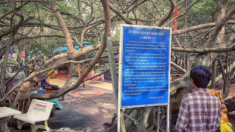 Du khách đến đây nếu không có hướng dẫn viên du lịch vẫn có thể tự tìm hiểu về lịch sử Giàn Gừa. (Ảnh: Xuân Mai/Vietnam+)