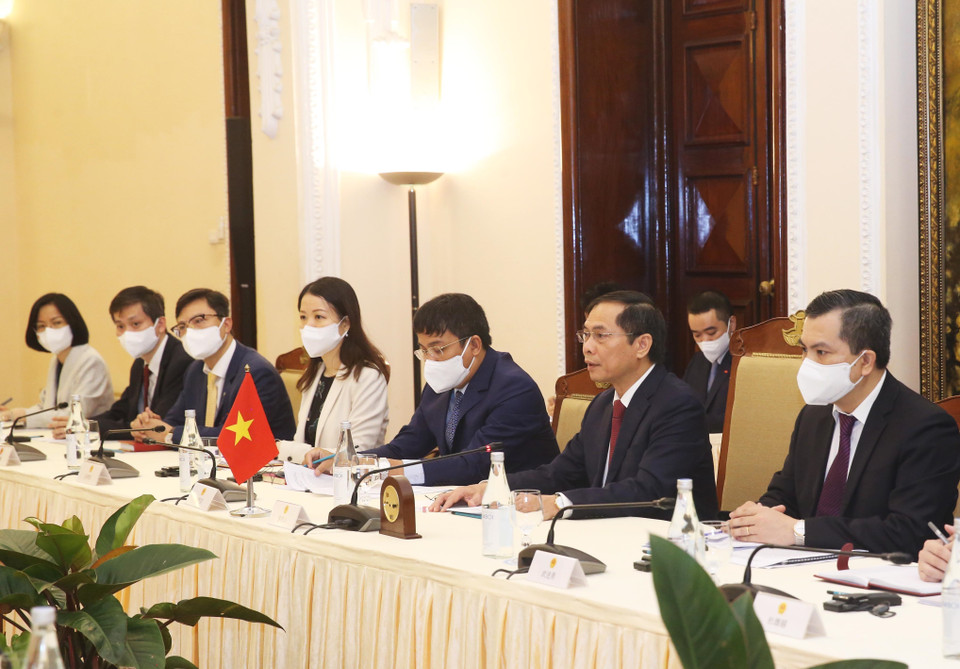 Bộ trưởng Ngoại giao Bùi Thanh Sơn tại buổi hội đàm. (Ảnh: Lâm Khánh/TTXVN)