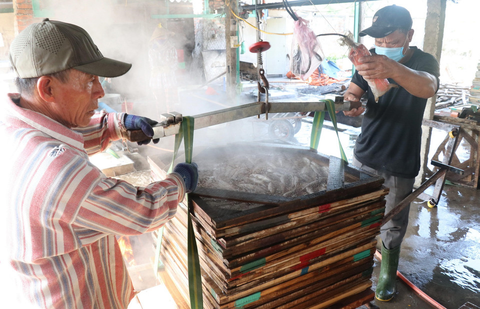 Đưa những vỉ cá nục đã hấp xong ra ngoài phơi nắng. (Ảnh: Nguyên Lý/TTXVN)