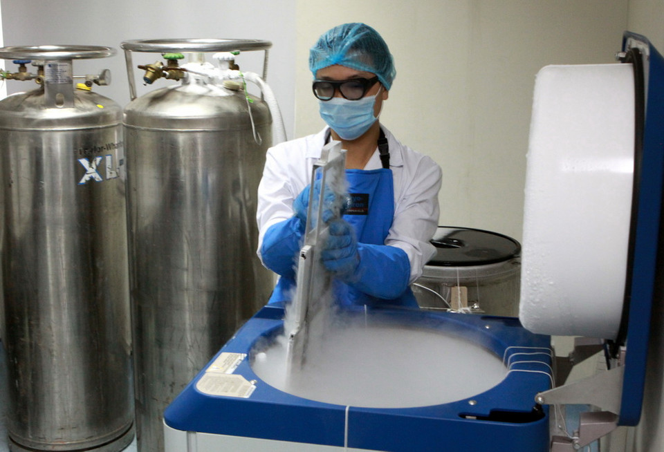 Máu dây rốn sau khi tiếp nhận được xử lý tạo ra tế bào gốc và lưu trữ ở điều kiện nitơ âm 150-196 độ C ở Ngân hàng Tế bào gốc để cấy ghép cho những người có chỉ số phù hợp. (Ảnh: Dương Ngọc/TTXVN)