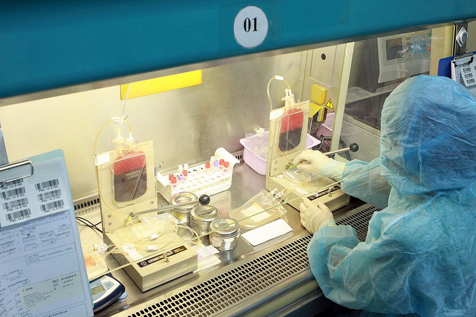 Xử lý các mẫu máu dây rốn để chiết tách tế bào gốc và lưu trữ. (Ảnh: Dương Ngọc/TTXVN)