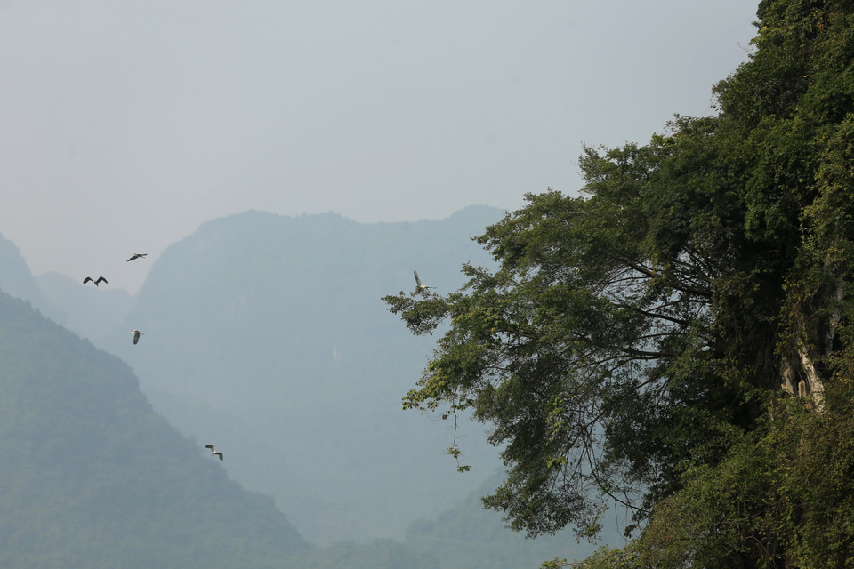 Toàn khu vực rộng 5.100 ha, bao gồm hệ thống các công trình văn hóa thể thao được xây dựng mới gắn với hồ Tam Chúc nằm ở thị trấn Ba Sao và xã Khả Phong, huyện Kim Bảng, tỉnh Hà Nam. (Ảnh: Xuân Mai/Vietnam+)