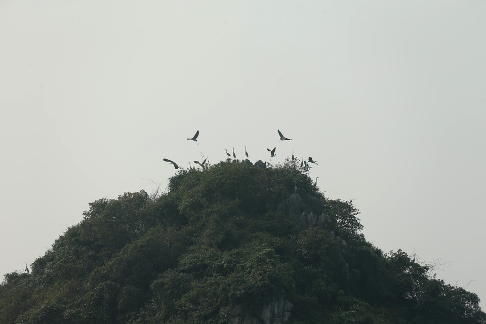 Tam Chúc là một khu du lịch quốc gia ở Việt Nam, có điểm nhấn là chùa Tam Chúc. (Ảnh: Xuân Mai/Vietnam+)