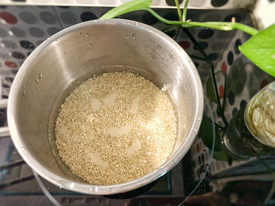 Hạt quinoa cho lên bếp nấu chín, tỷ lệ 1 nước:1,5 hạt quinoa. Đun sôi lửa nhỏ, mở vung trong vòng 15 phút, sau đó bắc ra để nguyên vẫn tiếp tục mở vung thêm khoảng 10 phút. (Ảnh: Vietnam+)