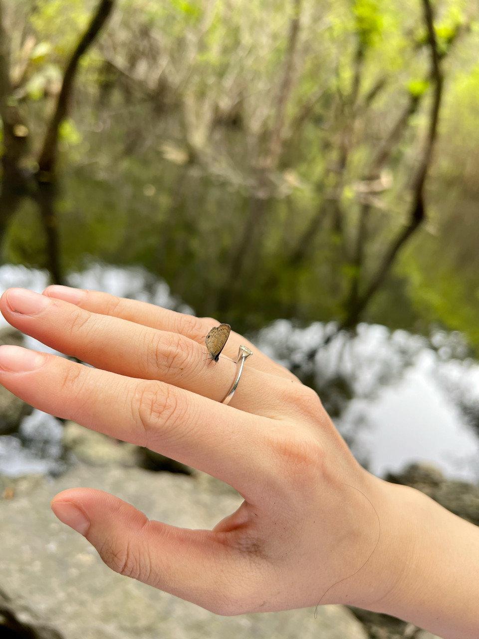 Khu rừng đặc dụng sở hữu hệ động vật 53 loài thú với 18 họ thuộc 8 bộ; 160 loài chim với 46 họ thuộc 16 bộ; 46 loài bò sát với 16 họ thuộc 2 bộ; 21 loài lưỡng cư với 5 họ thuộc 1 bộ. Cũng vì thế, những trải nghiệm trong rừng hoàn toàn gần gũi tự nhiên. (Ảnh: Xuân Mai/Vietnam+)