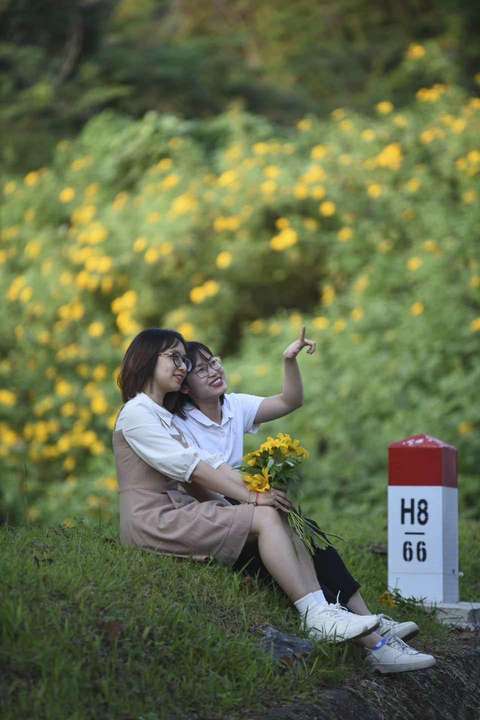 Những thiếu nữ chụp ảnh với hoa dã quỳ. (Ảnh: Xuân Tư/TTXVN)