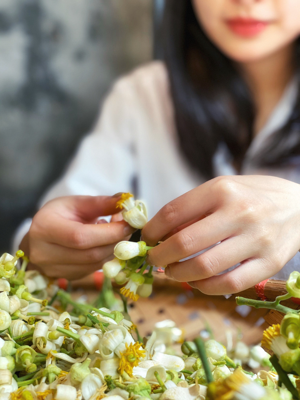 Nguyên liệu quan trọng nhất trong ướp trà hoa bưởi không chỉ là chọn được loại trà ngon (người Hà Nội thường chọn trà Tân Cương đã ủ qua mùa cho bớt hăng), mà còn là những bông hoa tươi, có hương thơm ngát. (Ảnh: Xuân Mai/Vietnam+)