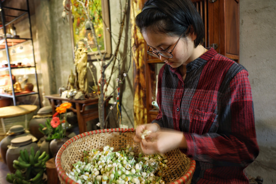 Chính vì thế, sau khi lấy hoa từ vườn về, để đảm bảo giữ được hương vị tươi ngon nhất của hoa, tốt nhất nên tách cánh hoa ngay để ướp trà trong ngày. (Ảnh: Xuân Mai/Vietnam+)