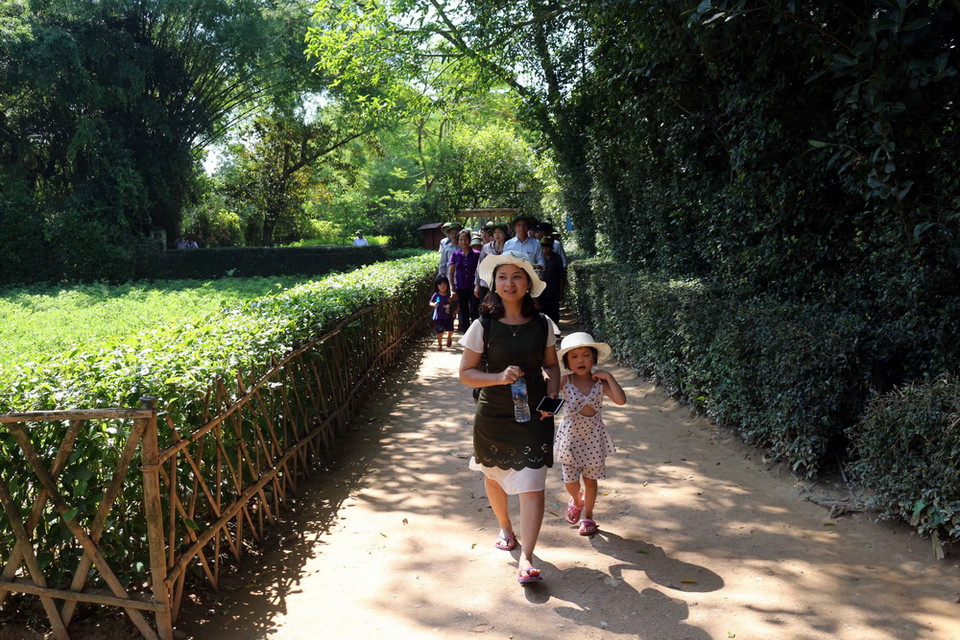 Tấp nập du khách về quê Bác tháng 5. (Ảnh: Bích Huệ/TTXVN)