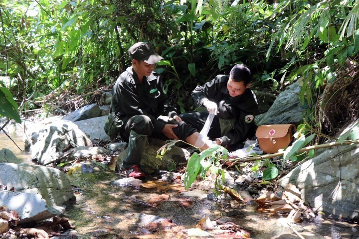 Giúp đỡ nhau băng bó vết thương trong quá trình tuần tra.(Ảnh: Đỗ Trưởng/TTXVN)