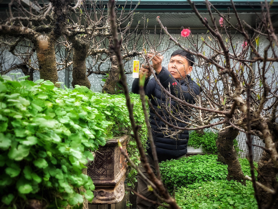  Những nông dân, nghệ nhân như anh Hàm là số ít người còn sót lại của làng Nhật Tân sau những 'vật đổi sao dời' đến nay vẫn giữ được tâm huyết với nghề. (Ảnh: Tố Linh/Vietnam+)