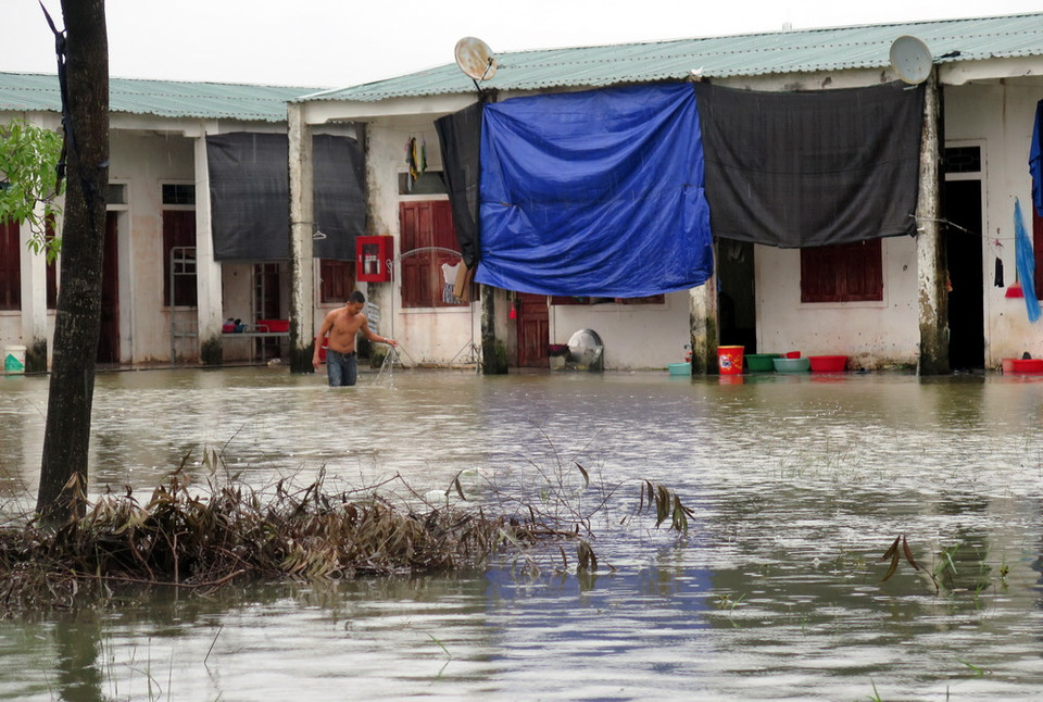 Người dân đi bắt cá ngay trong khu dân cư. (Ảnh: Công Tường/TTXVN)