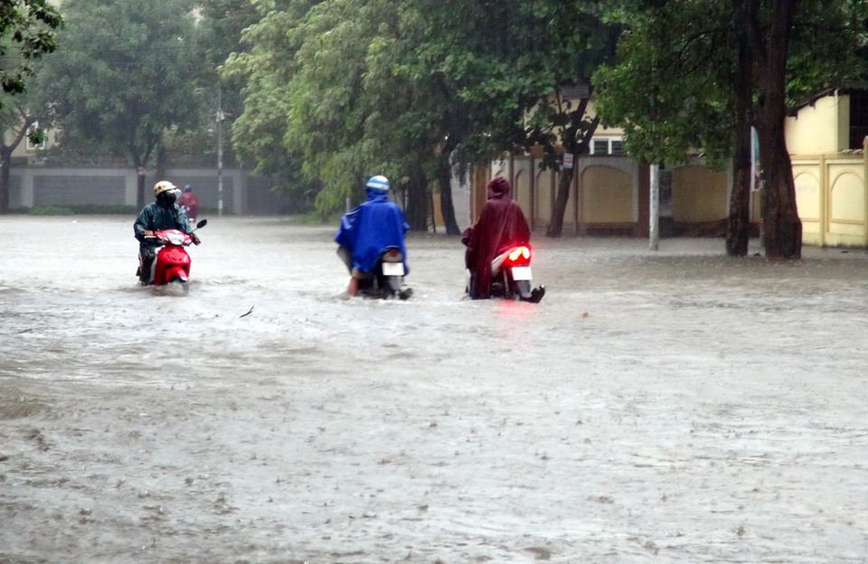 Ngập lụt nghiêm trọng tại đường Đinh Công Tráng, thành phố Vinh (ảnh chụp lúc 8 giờ sáng 15/10). (Ảnh: Tá Chuyên/TTXVN) 