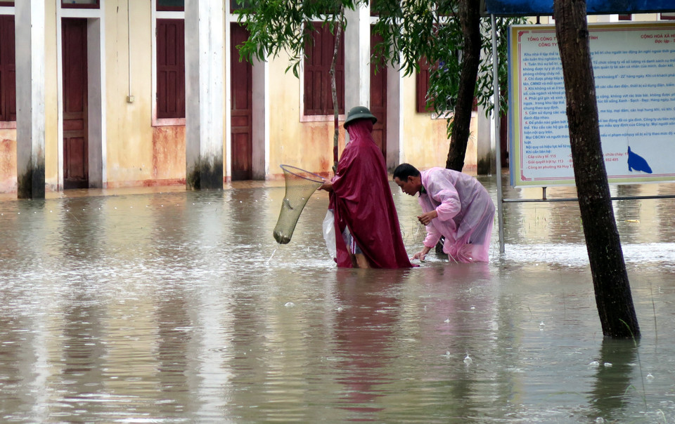 Người dân đi bắt cá ngay trong khu dân cư. (Ảnh: Công Tường/TTXVN)