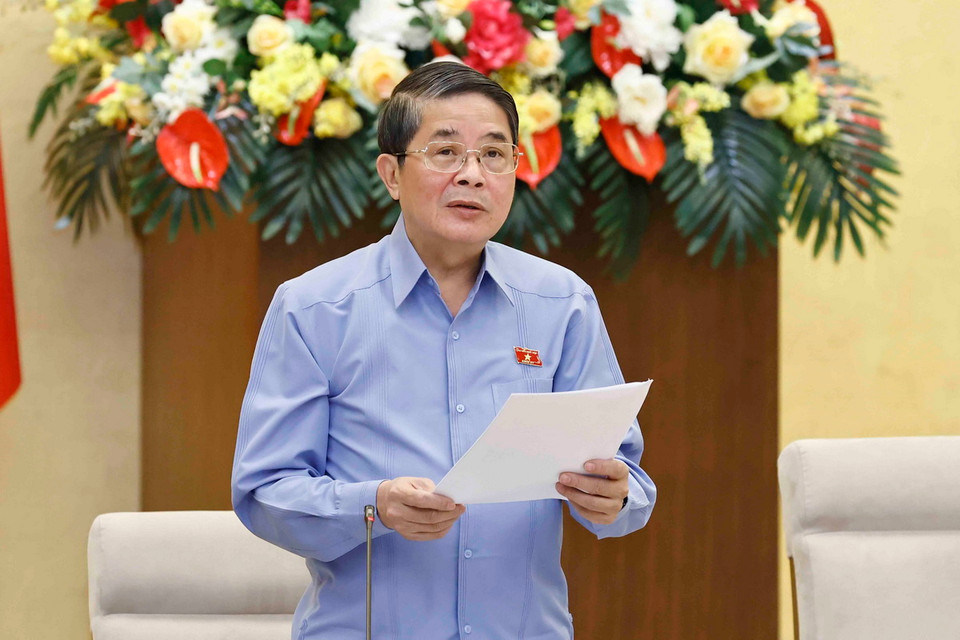 Phó Chủ tịch Quốc hội Nguyễn Đức Hải phát biểu. (Ảnh: Doãn Tấn/TTXVN)