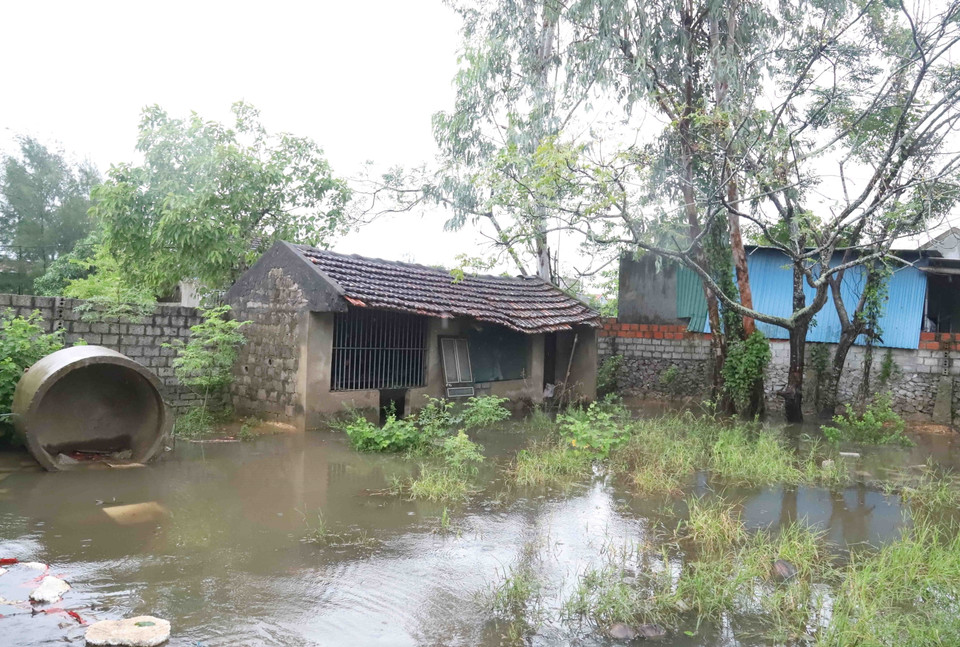 Khu vực dân cư Đồng Tháng Năm ở xã Diễn Bích, huyện Diễn Châu, tỉnh Nghệ An, có hàng chục hộ gia đình bị ngập úng cục bộ. (Ảnh: Xuân Tiến/TTXVN)