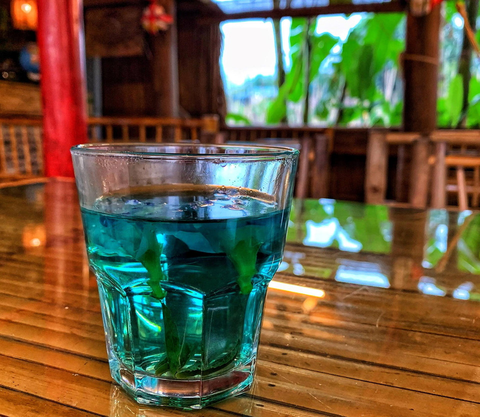 Nghỉ chân ở một homestay để được anh chủ mến khách thết đãi ly trà đậu biếc cỏ ngọt vừa hái từ ngoài vườn, ngồi nhâm nhi ngắm mây núi thật là thú vị. (Ảnh: Xuân Mai/Vietnam+)