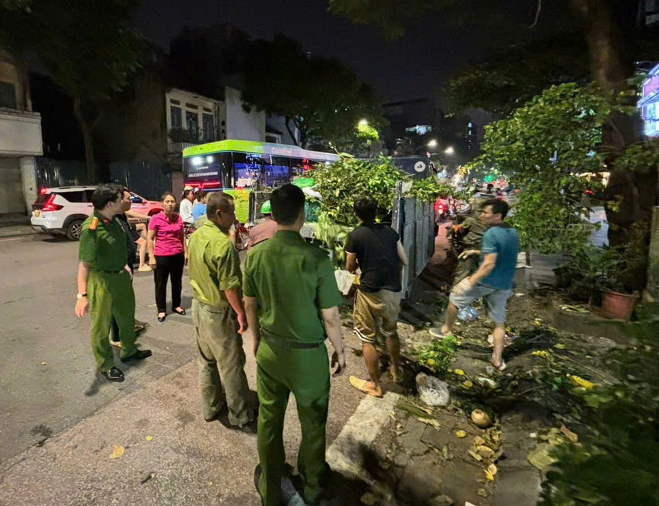 Lãnh đạo phường Phạm Đình Hổ (quận Hai Bà Trưng, Hà Nội) cùng các lực lượng chức năng xuyên đêm chỉ đạo, giám sát việc cắt dọn, giải tỏa cây xanh bị gãy đổ do bão số 3. (Ảnh: Minh Nghĩa/Vietnam+)
