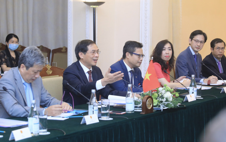 Bộ trưởng Bộ Ngoại giao Bùi Thanh Sơn hội đàm với Bộ trưởng Ngoại giao và Phát triển Vương quốc Anh Dominic Raab. (Ảnh: Lâm Khánh/TTXVN)