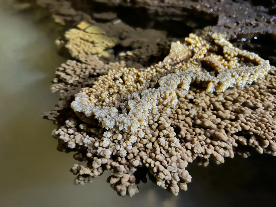 Có đoạn nhũ đá mọc như bãi san hô, lớp nối lớp; có đoạn giống ruộng bậc thang uốn lượn. (Ảnh: Mai Mai/Vietnam+)