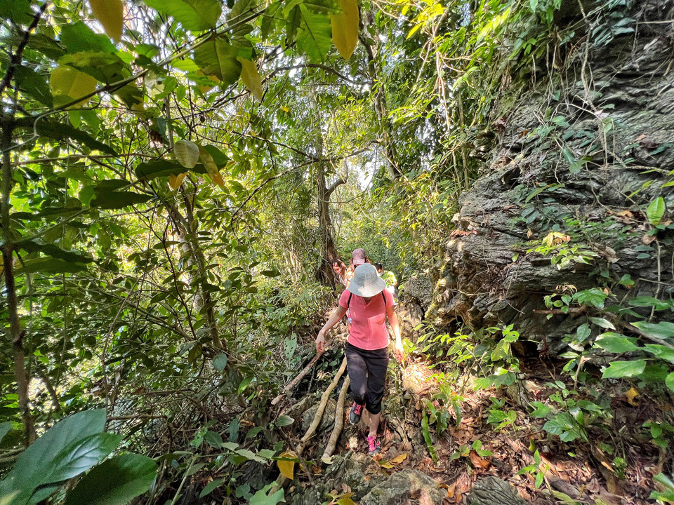 Mặc dù được phát hiện từ tháng 1/2004 nhưng đến giờ đây vẫn là điểm đến hoang sơ cùng những bí ẩn chưa được khám phá. (Ảnh: Mai Mai/Vietnam+)