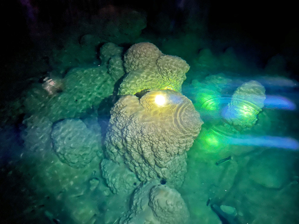 Dù sâu 2-7 mét nhưng nước hồ luôn trong xanh và đầy ắp quanh năm. Ảnh: Mai Mai/Vietnam+)