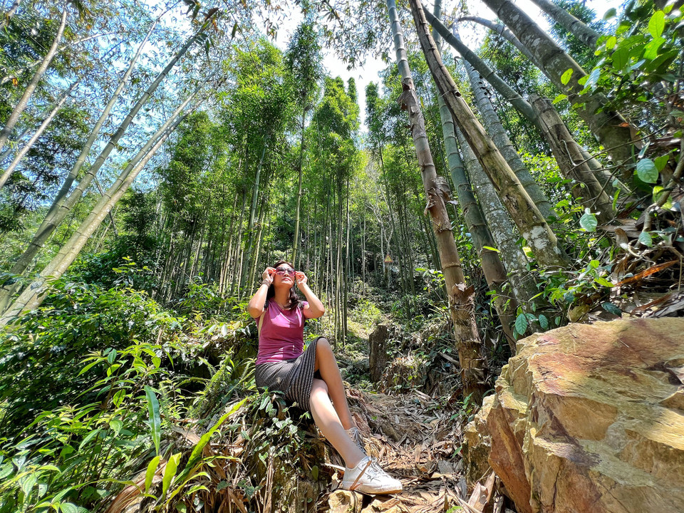 Chặng đường bộ vắt qua rừng tre, trúc và núi đá khoảng 45 phút trước khi đến động Nam Sơn. (Ảnh: Mai Mai/Vietnam+)