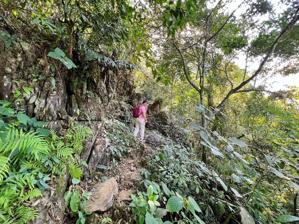 Cách trung tâm xã Vân Sơn gần 4km trên đường đi Làng Son, xã Nam Sơn, du khách sẽ bắt đầu hành trình trên con đường núi đá cổ dưới tán rừng xanh mát. (Ảnh: Mai Mai/Vietnam+)