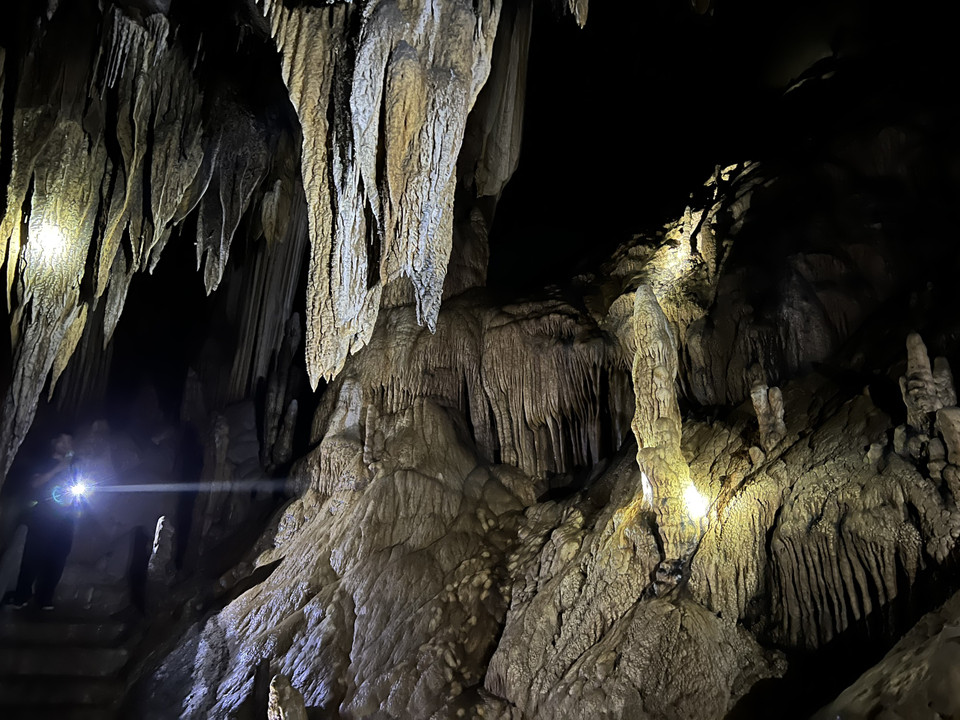 Không chỉ quần tụ hệ thống cột đá, nhũ đá, măng đá, rèm đá đặc sắc, động Nam Sơn còn có nhiều thạch nhũ và sinh vật đặc hữu. (Ảnh: Mai Mai/Vietnam+)