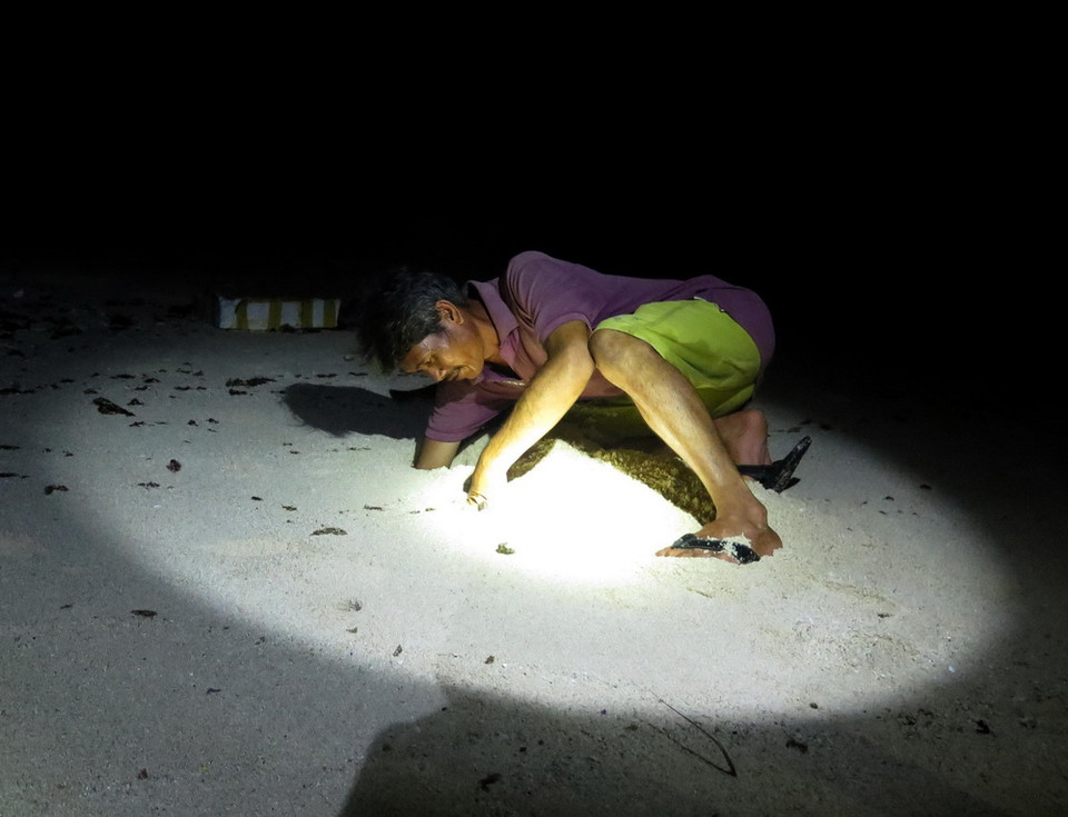 Thợ săn đào những cái hang trên cát để bắt cua đá, còng biển. (Ảnh: Phước Ngọc/TTXVN)