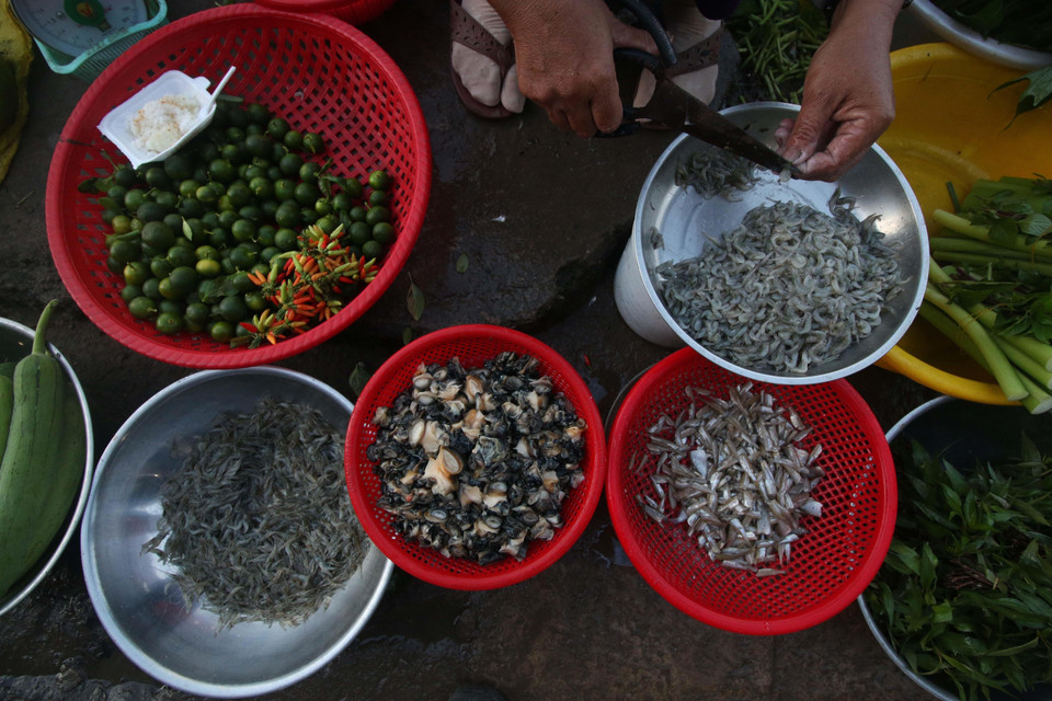 Khu chợ nông thôn ở thành phố Vị Thanh, tỉnh Hậu Giang với những sản vật mùa lũ. (Ảnh: Duy Khương/TTXVN)