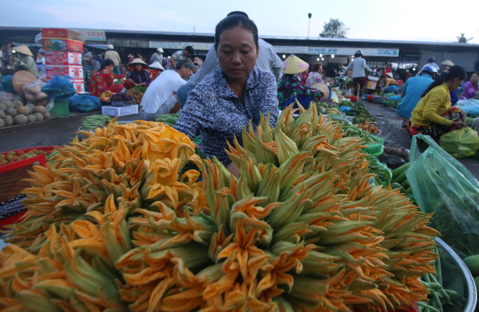 Khu chợ nông thôn ở thành phố Vị Thanh, tỉnh Hậu Giang, với những sản vật mùa lũ. (Ảnh: Duy Khương/TTXVN)
