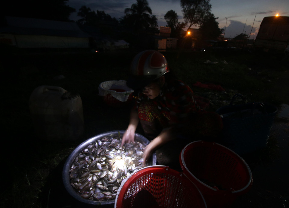 Trên các cánh đồng lấp xấp nước lũ, các nghề đánh bắt cá mùa lũ như đẩy côn, giăng lưới diễn ra mang đậm nét đặc trưng nơi đây. (Ảnh: Duy Khương/TTXVN)