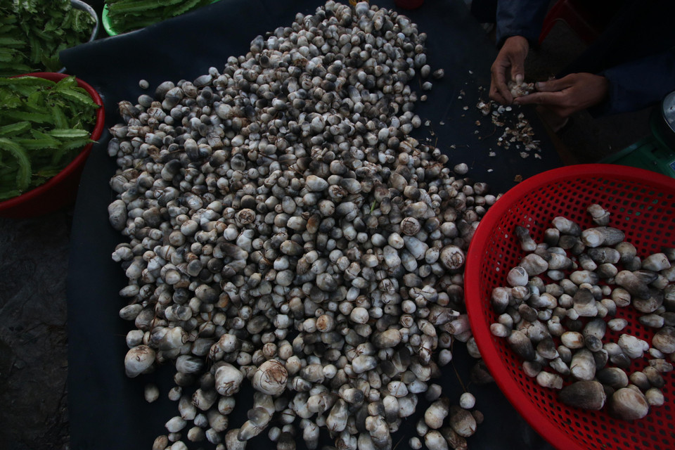 Khu chợ nông thôn ở thành phố Vị Thanh, tỉnh Hậu Giang với những sản vật mùa lũ. (Ảnh: Duy Khương/TTXVN)