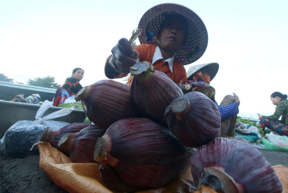 Khu chợ nông thôn ở thành phố Vị Thanh, tỉnh Hậu Giang với những sản vật mùa lũ. (Ảnh: Duy Khương/TTXVN)