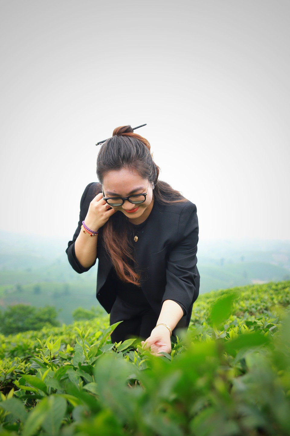 Từ tháng 3-12 hàng năm, chè vùng Long Cốc mọc lên những búp non xanh mát tạo nên tấm thảm xanh đầy sức sống. Từ tháng 12 trở đi, cây chè được “ngủ đông”. Thương hiệu chè Long Cốc được sản xuất theo tiêu chuẩn VietGAP, với các loại sản phẩm chè từ truyền thống đến giống mới chất lượng cao khá nổi tiếng, như chè Đinh Bát Tiên hay chè Shan Bát Tiên. Các giống chè này dùng để sản xuất trà Ô Long, được mang về từ Đài Loan trong khoảng 2 thập niên qua. (Ảnh: Công Nam/Vietnam+)