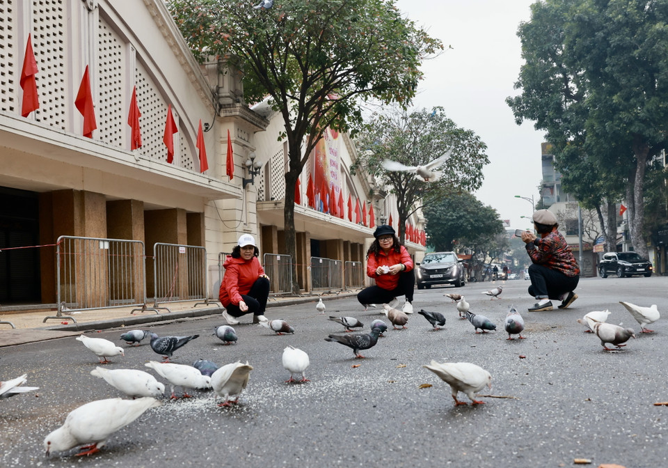 Khoảnh khắc bình yên trước cổng chợ Đồng Xuân ngày đầu năm mới Giáp Thìn. (Ảnh: Nhật Anh/TTXVN)