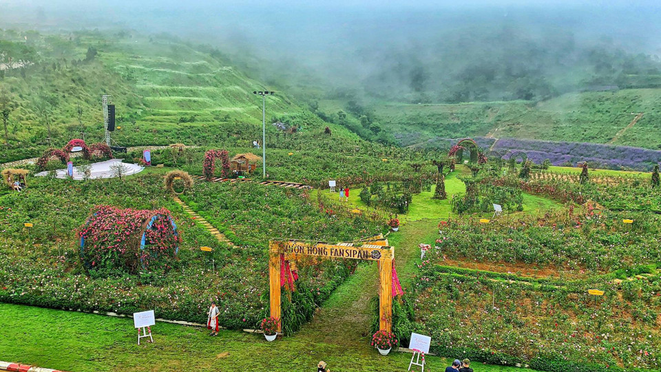 Vườn hồng vừa đón nhận kỷ lục Thung lũng hoa hồng lớn nhất Việt Nam từ tổ chức Kỷ lục Guinness Việt Nam. (Ảnh: Xuân Mai/Vietnam+)