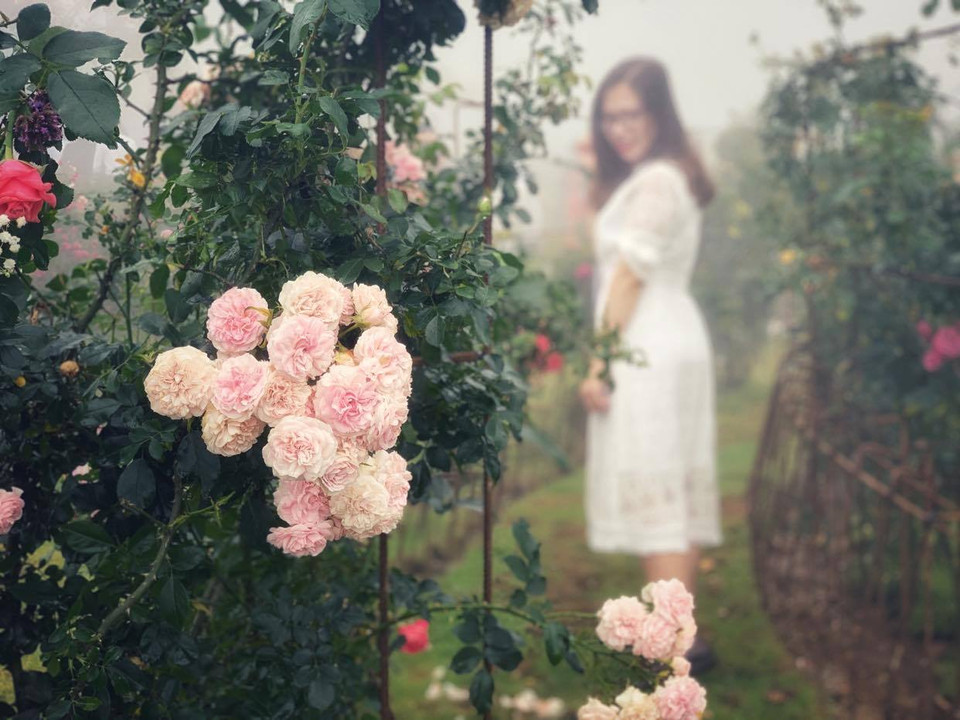 (Ảnh: Xuân Mai/Vietnam+)