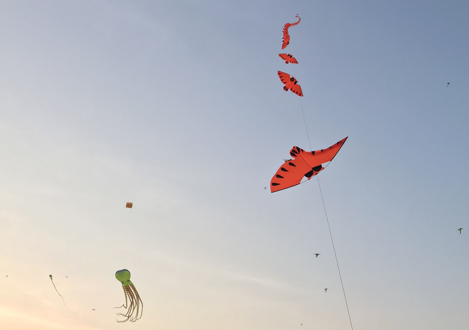 Thả diều nghệ thuật với thông điệp 'Đại dương xanh-Tương lai xanh' tại thành phố biển Tuy Hòa. (Ảnh: Phạm Cường/TTXVN)