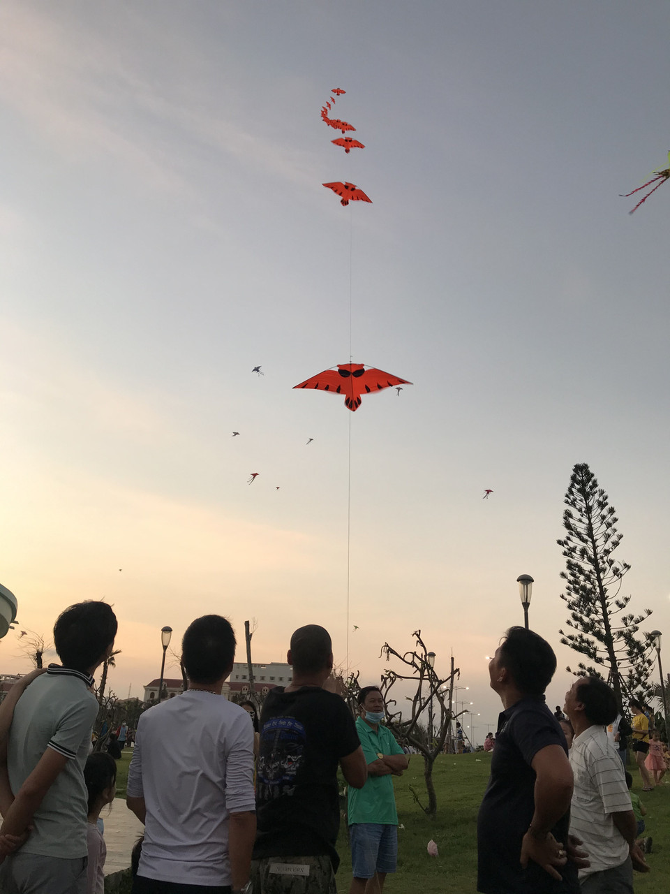 Người dân và du khách đến tham quan, thưởng lãm chương trình thả diều nghệ thuật. (Ảnh: Phạm Cường/TTXVN)