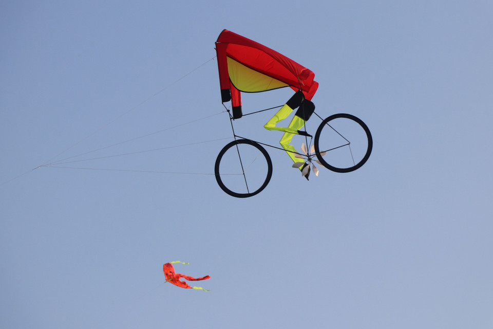 Thả diều nghệ thuật với thông điệp 'Đại dương xanh-Tương lai xanh' tại thành phố biển Tuy Hòa. (Ảnh: Phạm Cường/TTXVN)