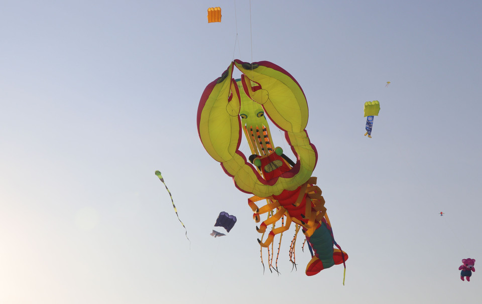 Thả diều nghệ thuật với thông điệp 'Đại dương xanh-Tương lai xanh' tại thành phố biển Tuy Hòa. (Ảnh: Phạm Cường/TTXVN)