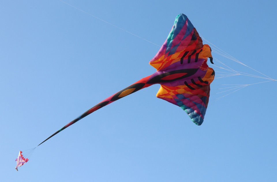 Thả diều nghệ thuật tại thành phố biển Tuy Hòa, Phú Yên.(Ảnh: Phạm Cường/TTXVN)