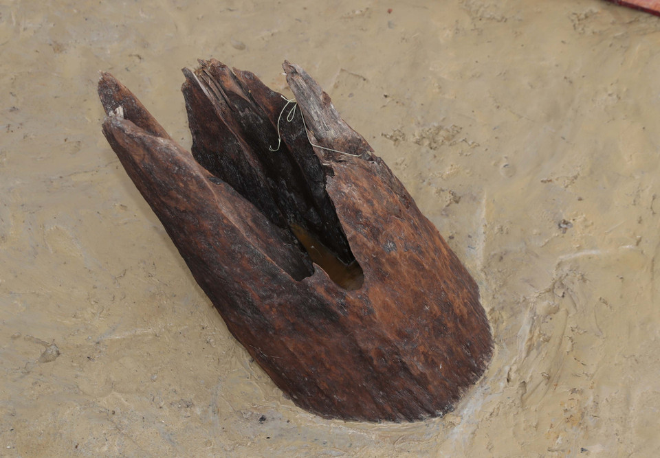 Hiện vật khai quật được lưu giữ tại Khu bảo tồn cọc Cao Quỳ tại xã Liên Khê, huyện Thủy Nguyên, thành phố Hải Phòng.(Ảnh: Thống Nhất/TTXVN)